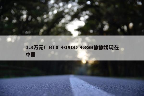 1.8万元！RTX 4090D 48GB偷偷出现在中国