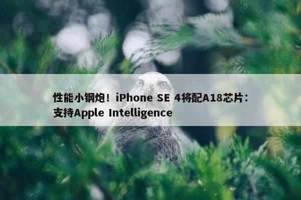 性能小钢炮！iPhone SE 4将配A18芯片：支持Apple Intelligence