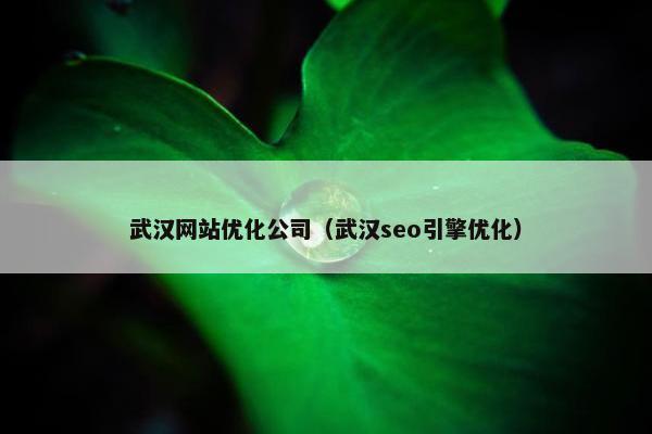 武汉网站优化公司（武汉seo引擎优化）