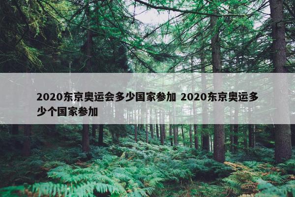 2020东京奥运会多少国家参加 2020东京奥运多少个国家参加