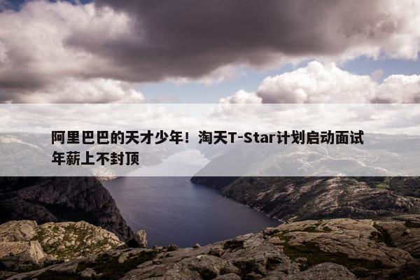 阿里巴巴的天才少年！淘天T-Star计划启动面试 年薪上不封顶