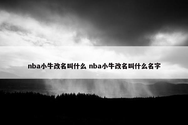 nba小牛改名叫什么 nba小牛改名叫什么名字