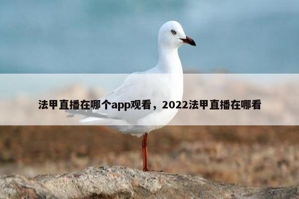 法甲直播在哪个app观看，2022法甲直播在哪看