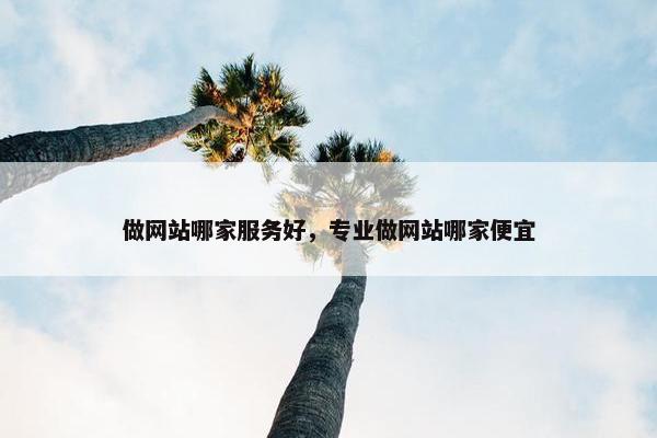 做网站哪家服务好，专业做网站哪家便宜