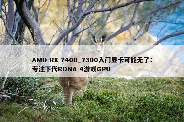 AMD RX 7400_7300入门显卡可能无了：专注下代RDNA 4游戏GPU