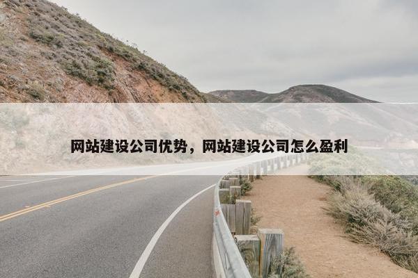 网站建设公司优势，网站建设公司怎么盈利