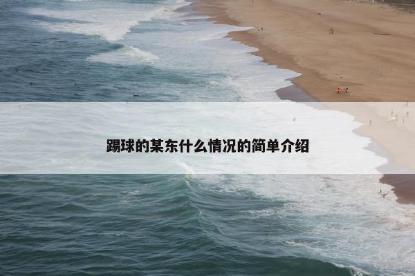 踢球的某东什么情况的简单介绍