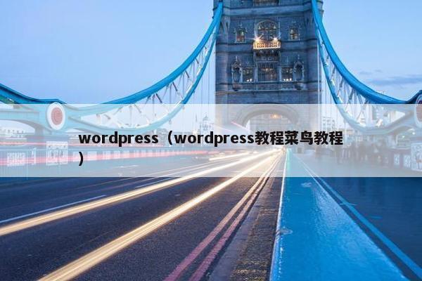 wordpress（wordpress教程菜鸟教程）