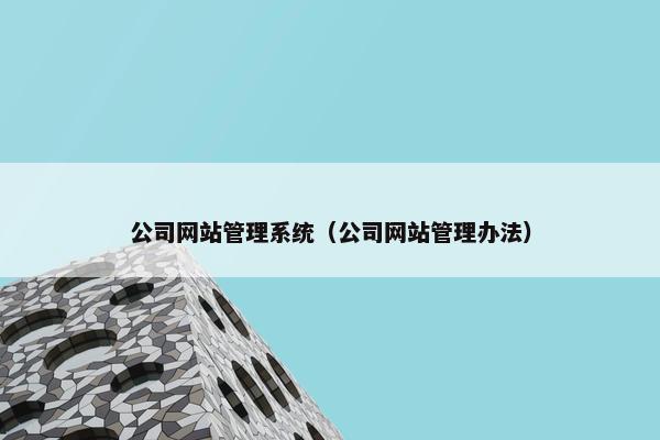 公司网站管理系统（公司网站管理办法）