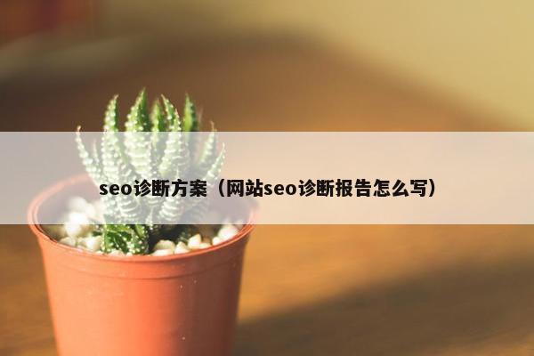 seo诊断方案（网站seo诊断报告怎么写）