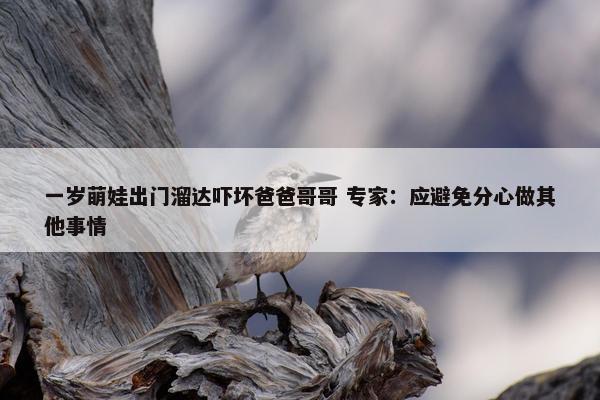 一岁萌娃出门溜达吓坏爸爸哥哥 专家：应避免分心做其他事情