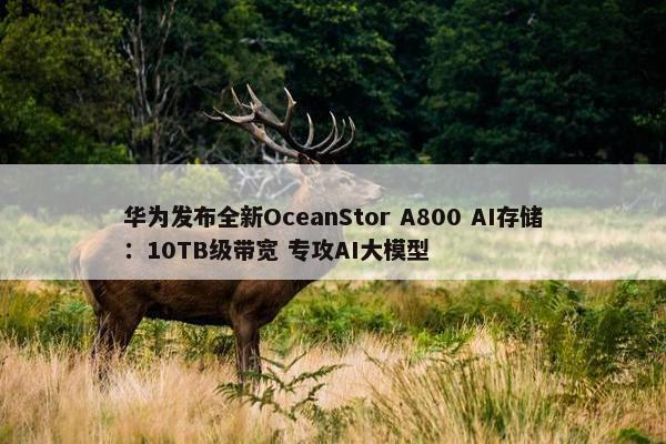 华为发布全新OceanStor A800 AI存储：10TB级带宽 专攻AI大模型