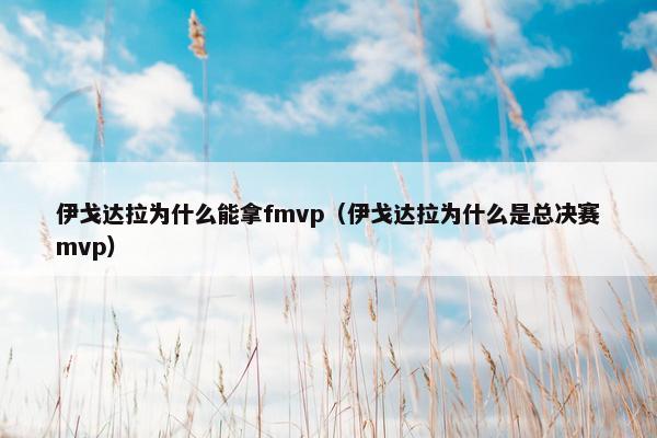 伊戈达拉为什么能拿fmvp（伊戈达拉为什么是总决赛mvp）