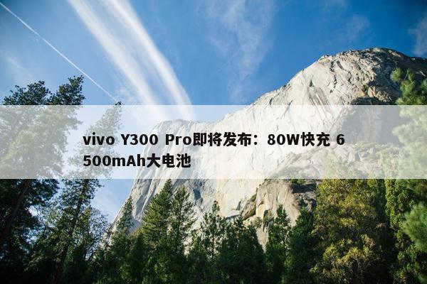 vivo Y300 Pro即将发布：80W快充 6500mAh大电池