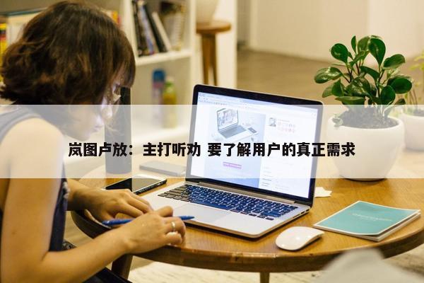 岚图卢放：主打听劝 要了解用户的真正需求