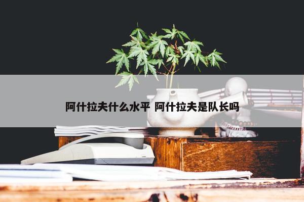 阿什拉夫什么水平 阿什拉夫是队长吗