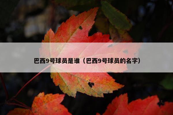 巴西9号球员是谁（巴西9号球员的名字）