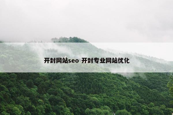 开封网站seo 开封专业网站优化