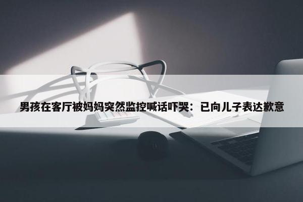 男孩在客厅被妈妈突然监控喊话吓哭：已向儿子表达歉意