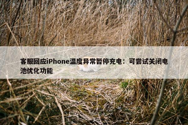 客服回应iPhone温度异常暂停充电：可尝试关闭电池优化功能