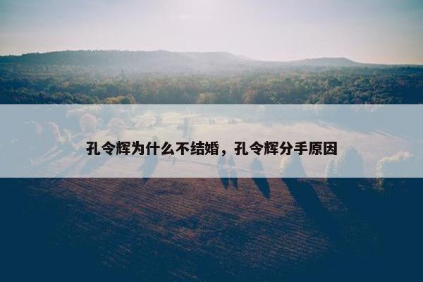 孔令辉为什么不结婚，孔令辉分手原因