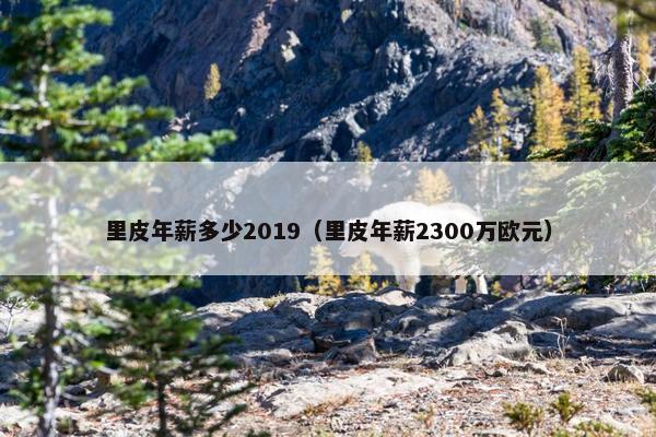 里皮年薪多少2019（里皮年薪2300万欧元）