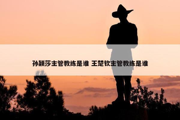 孙颖莎主管教练是谁 王楚钦主管教练是谁