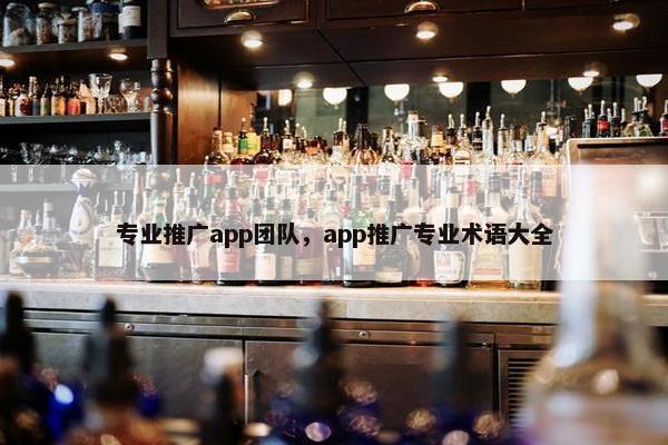 专业推广app团队，app推广专业术语大全