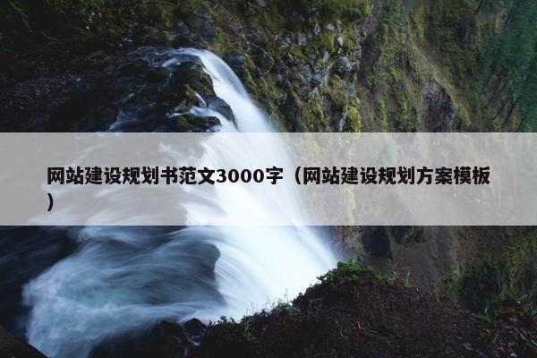 网站建设规划书范文3000字（网站建设规划方案模板）