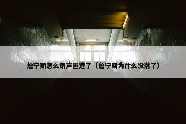 詹宁斯怎么销声匿迹了（詹宁斯为什么没落了）