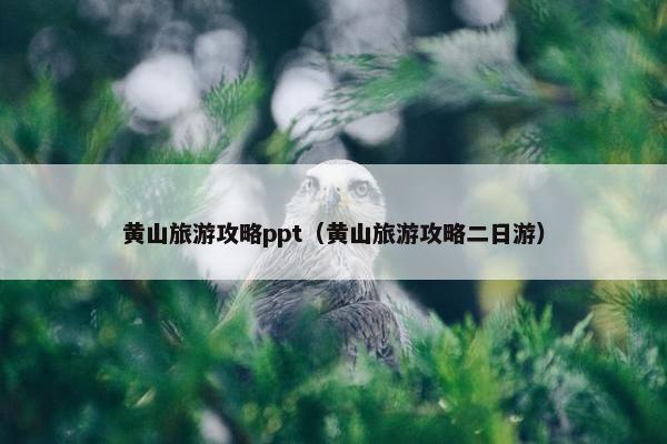 黄山旅游攻略ppt（黄山旅游攻略二日游）