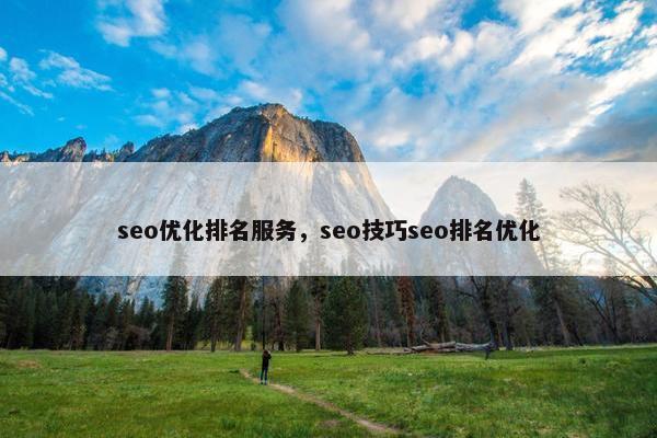 seo优化排名服务，seo技巧seo排名优化