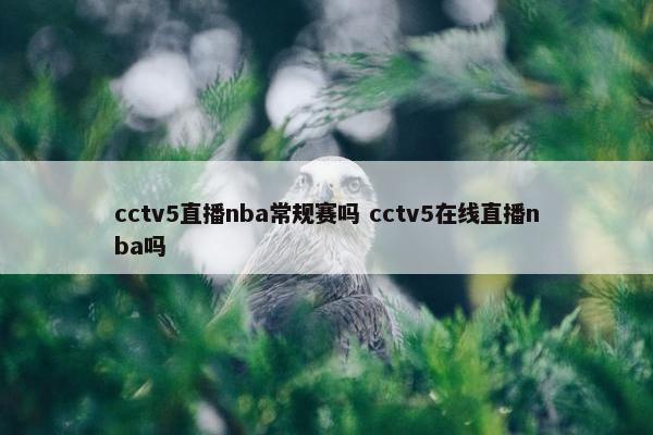 cctv5直播nba常规赛吗 cctv5在线直播nba吗