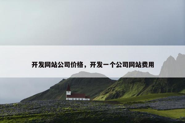 开发网站公司价格，开发一个公司网站费用