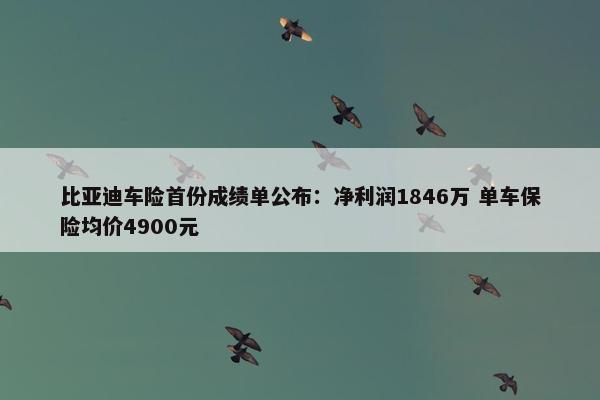 比亚迪车险首份成绩单公布：净利润1846万 单车保险均价4900元