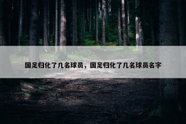 国足归化了几名球员，国足归化了几名球员名字