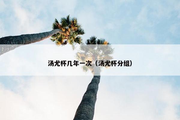 汤尤杯几年一次（汤尤杯分组）