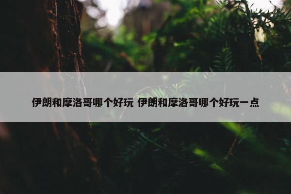 伊朗和摩洛哥哪个好玩 伊朗和摩洛哥哪个好玩一点