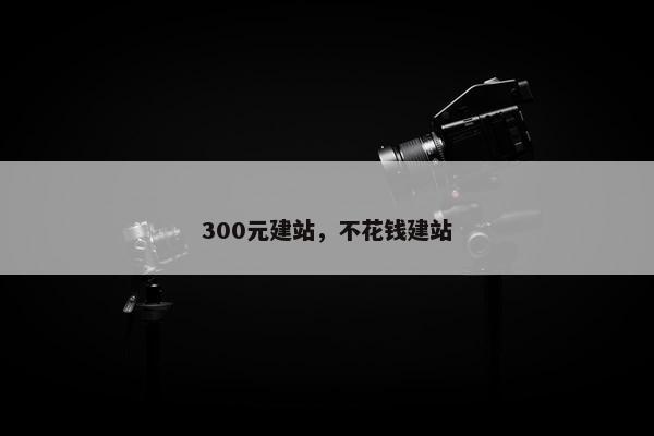 300元建站，不花钱建站