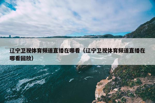 辽宁卫视体育频道直播在哪看（辽宁卫视体育频道直播在哪看回放）