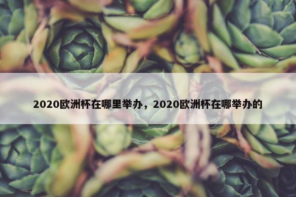 2020欧洲杯在哪里举办，2020欧洲杯在哪举办的