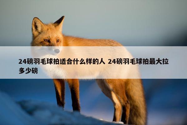 24磅羽毛球拍适合什么样的人 24磅羽毛球拍最大拉多少磅