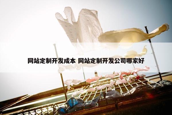 网站定制开发成本 网站定制开发公司哪家好