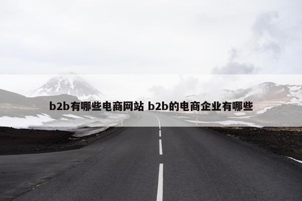 b2b有哪些电商网站 b2b的电商企业有哪些