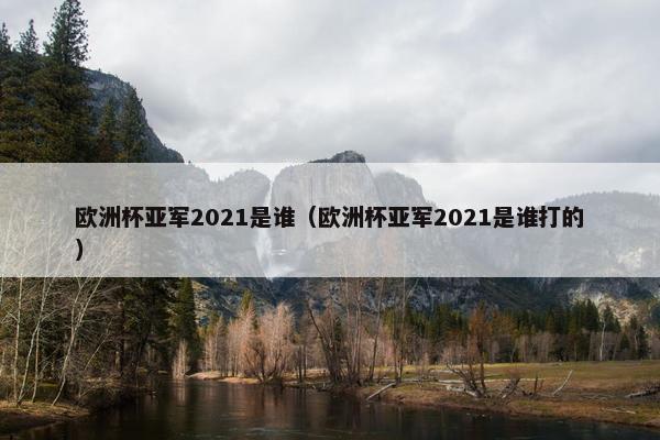 欧洲杯亚军2021是谁（欧洲杯亚军2021是谁打的）