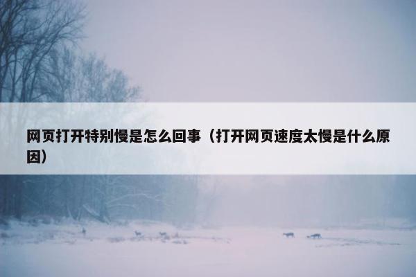 网页打开特别慢是怎么回事（打开网页速度太慢是什么原因）