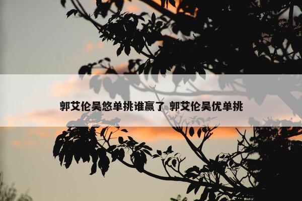 郭艾伦吴悠单挑谁赢了 郭艾伦吴优单挑