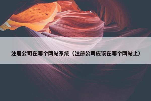 注册公司在哪个网站系统（注册公司应该在哪个网站上）