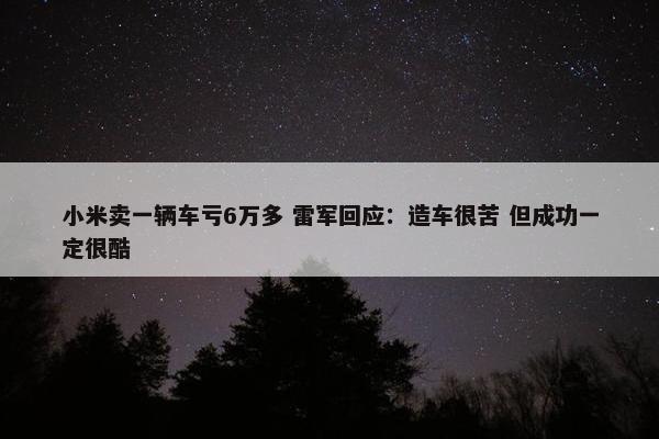 小米卖一辆车亏6万多 雷军回应：造车很苦 但成功一定很酷