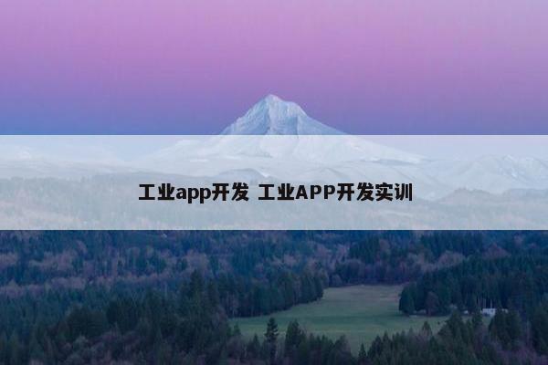 工业app开发 工业APP开发实训